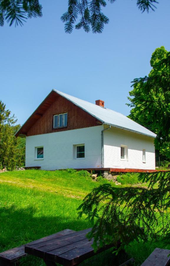 Domek W Gorach Na Wylacznosc Zlatna エクステリア 写真